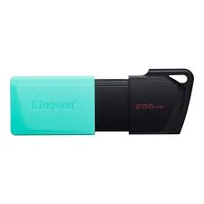 MEMORIA USB KINGSTONE 256GB 3.2